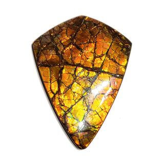 Ammolite Freeform Gemstone - 3421024-A2