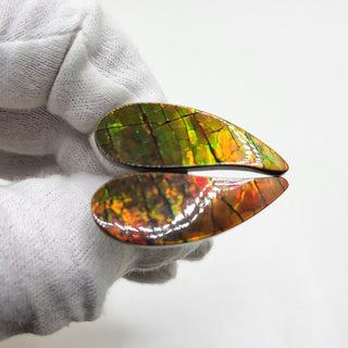 3431024 - Freeform - Sw Pear (Grade: A / A2)