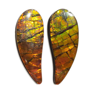 Ammolite Freeform Gemstone - 3431024-A2