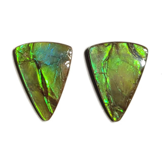 Ammolite Freeform Gemstone - 3441024-A2