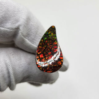 3471024 - Freeform - Sw Pear (Grade: A / A2)