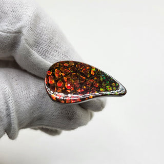 3471024 - Freeform - Sw Pear (Grade: A / A2)