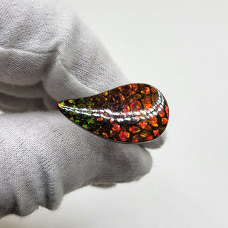 3471024 - Freeform - Sw Pear (Grade: A / A2)