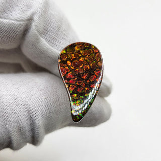 3471024 - Freeform - Sw Pear (Grade: A / A2)