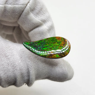 3481024 - Freeform - Sw Pear (Grade: A+ / A3)