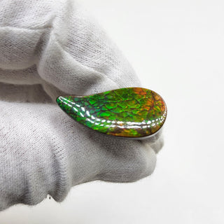 3481024 - Freeform - Sw Pear (Grade: A+ / A3)