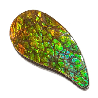 Ammolite Freeform Gemstone - 3481024-A3
