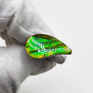 3491024 - Freeform - Sw Pear (Grade: A+ / A3)