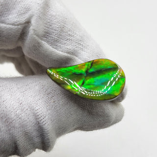 3491024 - Freeform - Sw Pear (Grade: A+ / A3)