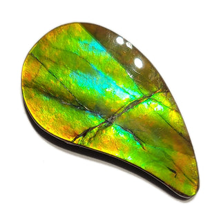 Ammolite Freeform Gemstone - 3491024-A3