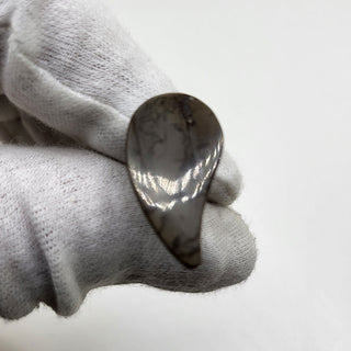 3491024 - Freeform - Sw Pear (Grade: A+ / A3)