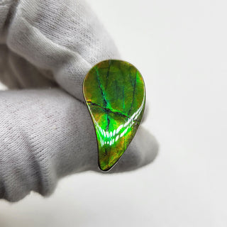 3491024 - Freeform - Sw Pear (Grade: A+ / A3)