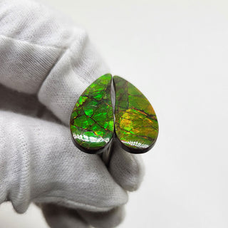 3501024 - Freeform - Sw Pear (Grade: A / A2)