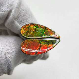 3501024 - Freeform - Sw Pear (Grade: A / A2)