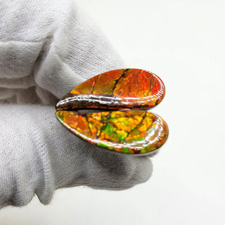 3501024 - Freeform - Sw Pear (Grade: A / A2)