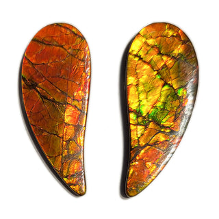 Ammolite Freeform Gemstone - 3501024-A2