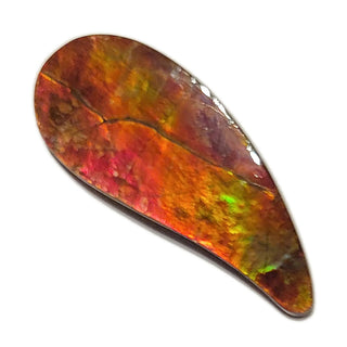 Ammolite Freeform Gemstone - 3511024-A2