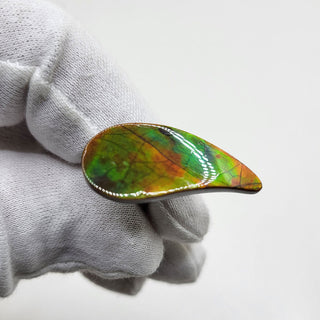 3531024 - Freeform - Sw Pear (Grade: A / A2)