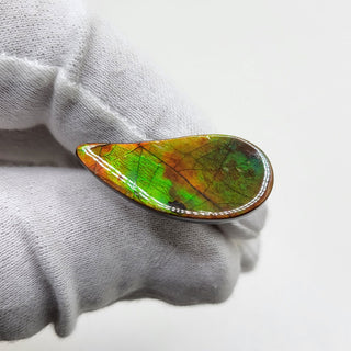 3531024 - Freeform - Sw Pear (Grade: A / A2)