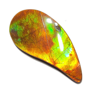 Ammolite Freeform Gemstone - 3531024-A2