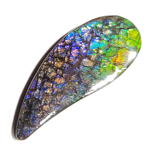 Ammolite Freeform Gemstone - 3541024-A2