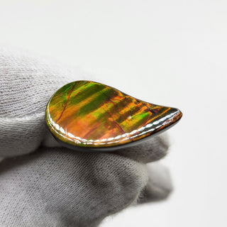 3551024 - Freeform - Sw Pear (Grade: A / A2)