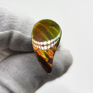 3551024 - Freeform - Sw Pear (Grade: A / A2)