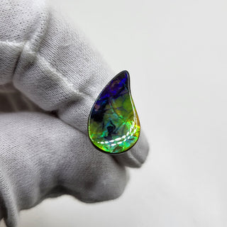 3561024 - Freeform - Sw Pear (Grade: A+ / A3)