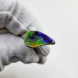 3561024 - Freeform - Sw Pear (Grade: A+ / A3)