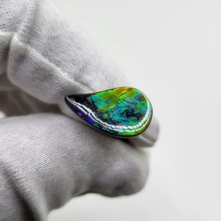 3561024 - Freeform - Sw Pear (Grade: A+ / A3)