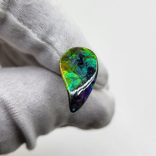 3561024 - Freeform - Sw Pear (Grade: A+ / A3)