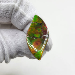 3591024 - Freeform - Sw Leaf (Grade: A / A2)