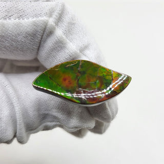 3591024 - Freeform - Sw Leaf (Grade: A / A2)