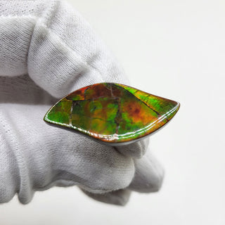 3591024 - Freeform - Sw Leaf (Grade: A / A2)