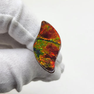 Ammolite Swept Leaf Shaped Freeform, Imperial/Two Sided, Loose Gemstone 3611024 - 0 Degrees