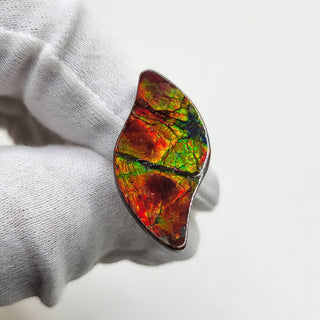 3611024 - Freeform - Sw Leaf (Grade: A+ / A3) (Imperial-Two Sided)