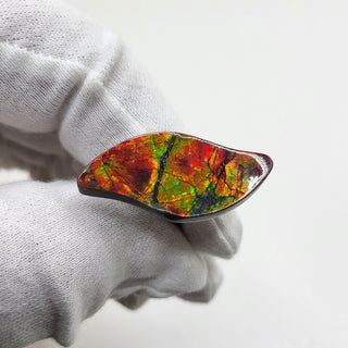 3611024 - Freeform - Sw Leaf (Grade: A+ / A3) (Imperial-Two Sided)