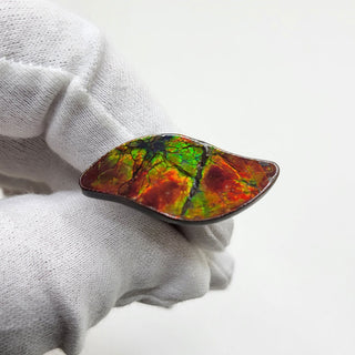 3611024 - Freeform - Sw Leaf (Grade: A+ / A3) (Imperial-Two Sided)