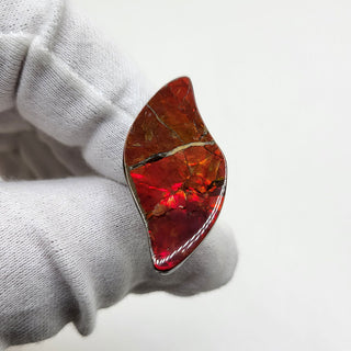 3611024 - Freeform - Sw Leaf (Grade: A+ / A3) (Imperial-Two Sided)