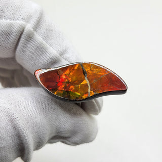 3611024 - Freeform - Sw Leaf (Grade: A+ / A3) (Imperial-Two Sided)