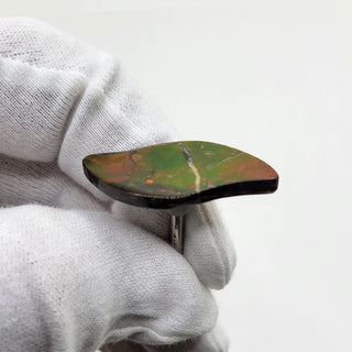 3611024 - Freeform - Sw Leaf (Grade: A+ / A3) (Imperial-Two Sided)