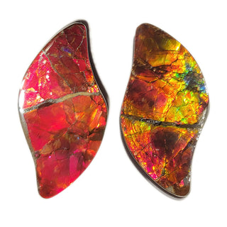 Ammolite Swept Leaf Shaped Freeform, Imperial/Two Sided, Loose Gemstone 3611024