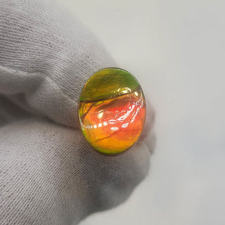 3641124 - Freeform - Oval - (Grade: A+ / A3)
