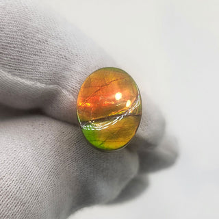 3641124 - Freeform - Oval - (Grade: A+ / A3)