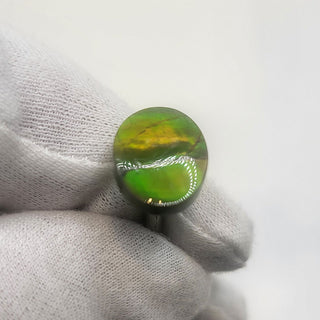3641124 - Freeform - Oval - (Grade: A+ / A3)