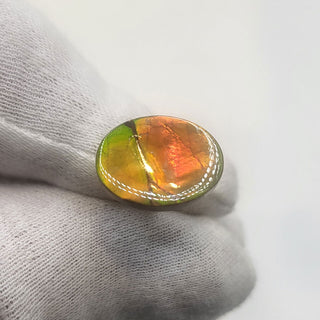3641124 - Freeform - Oval - (Grade: A+ / A3)