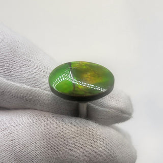 3641124 - Freeform - Oval - (Grade: A+ / A3)
