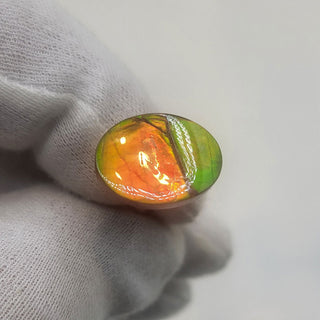 3641124 - Freeform - Oval - (Grade: A+ / A3)