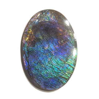 Ammolite Freeform Gemstone - 3711124-A2