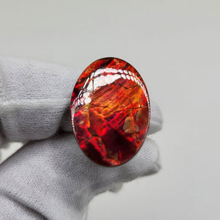 3731124 - Freeform - Oval - (Grade: A / A2)